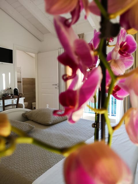 Casa Speri Bed and Breakfast in Peschiera del Garda