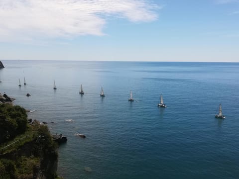 Alex Room Bed and Breakfast in Manarola