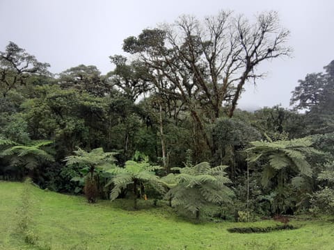 Mindo Loma bird lodge Hotel in Pichincha