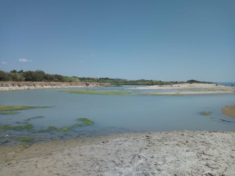 Natural landscape, Beach