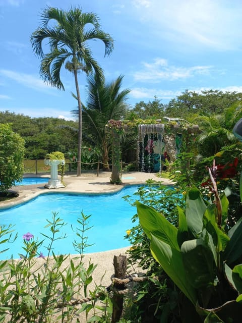 Natural landscape, Garden, Pool view, Swimming pool