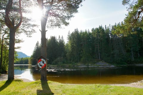 Activities, Garden, Open Air Bath, Public Bath, Public Bath