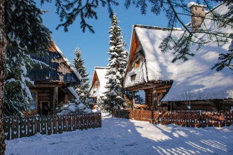 Domki Javorina Chalet in Zakopane