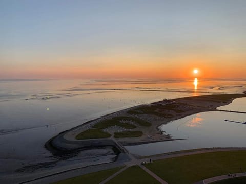 Natural landscape, Bird's eye view, Sea view, Sunset