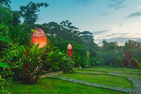 People, Garden, Sunrise, Sunset