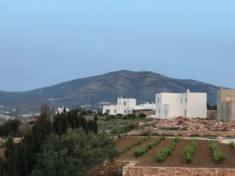 Seaside Home with Hot Tub, Vineyard, Shared Pool and View House in Paros, Greece