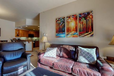 EagleRidge Lodge and Townhomes Casa in Steamboat Springs