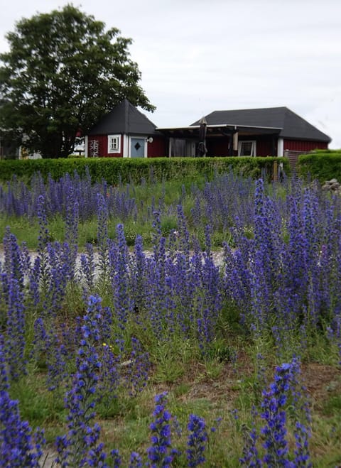 Spring, Neighbourhood, Natural landscape