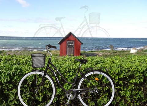 Natural landscape, Cycling, Sea view