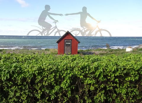 Cycling, Sea view