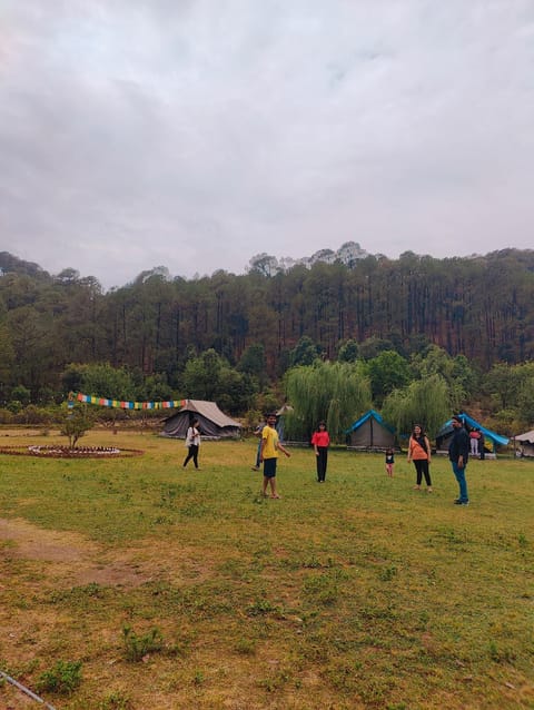 Nainital Camp Wildland & Farm Stay Campground/ 
RV Resort in Uttarakhand