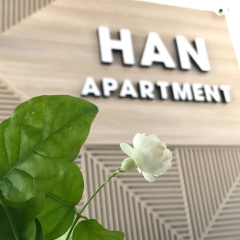 Han Apartment Apartahotel in Da Nang