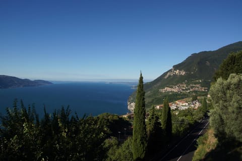 Lake view