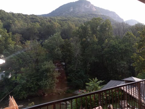 Carter Lodge - On The River Natur-Lodge in Chimney Rock