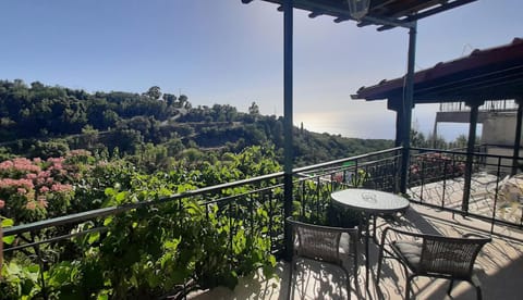 Natural landscape, View (from property/room), Balcony/Terrace, Sea view