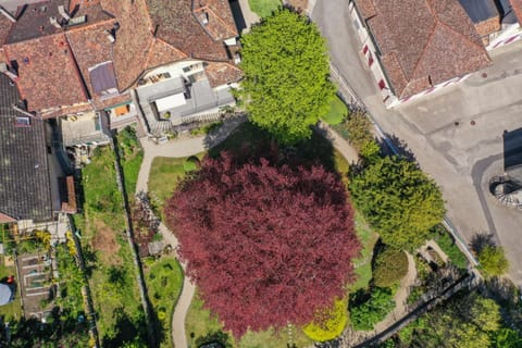 Magnifique maison vigneronne avec grand jardin House in Neuchâtel, Switzerland