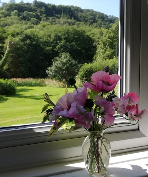 Summer, View (from property/room), Garden view