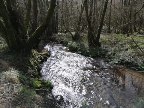 Natural landscape, Winter, On site, River view