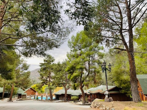 Whispering Pines Lodge Albergue natural in Kernville