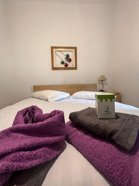 Villa CorteOlivo Rooms Bed and Breakfast in Torri del Benaco