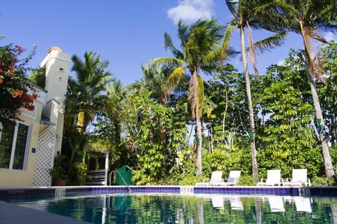 Pool view, Pool view, Swimming pool, Swimming pool