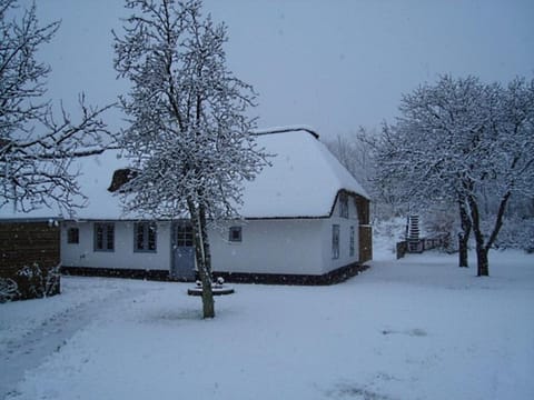 Fischerkate Detlefsen Apartment in Sankt Peter-Ording
