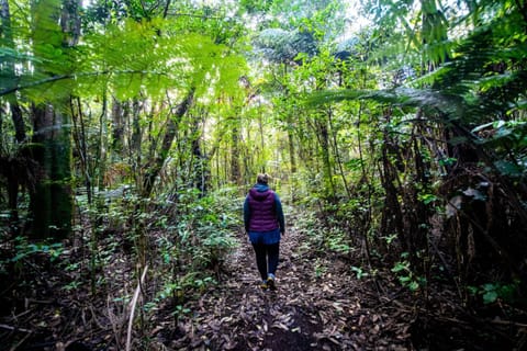 Natural landscape, Hiking