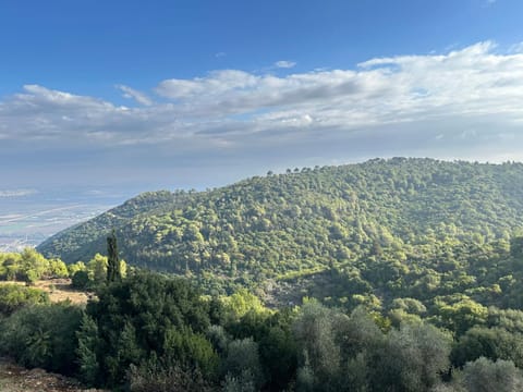 Panoramic View Bed and Breakfast in Haifa District