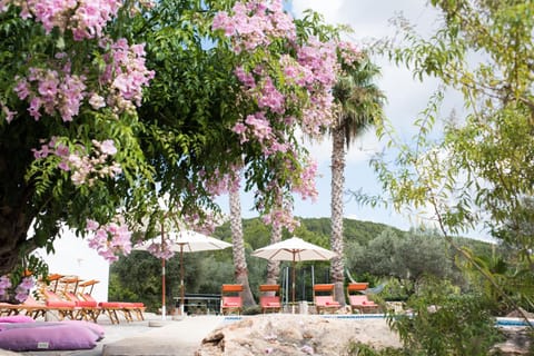 Can Tierra Roja Villa in Ibiza