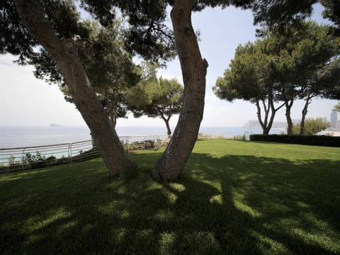 Day, Natural landscape, Garden, Garden view, Sea view