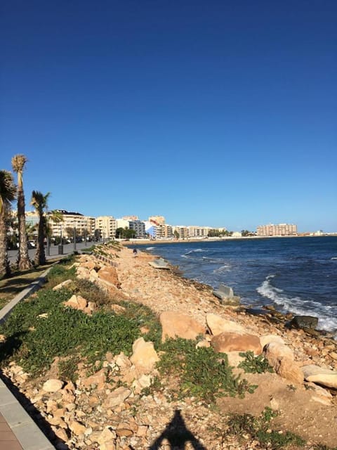 Apartment with a view of the sea Condo in Torrevieja