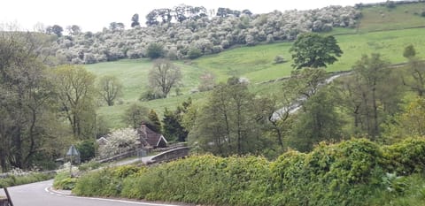 Rose Cottage House in Staffordshire Moorlands District