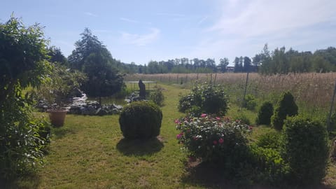 Ferienhaus am Teich Albergue natural in Nordhausen