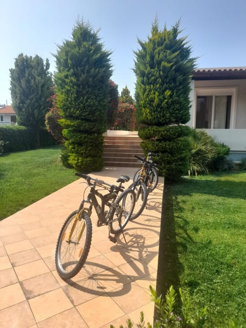 Cycling, American breakfast