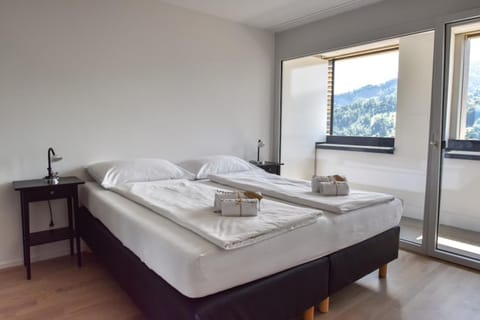 Dream View Apt With Homecinema Netflix & Loggia Apartamento in Lucerne