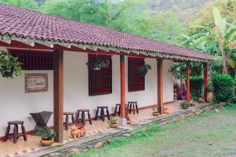 Patio, Spring, Garden, Garden view