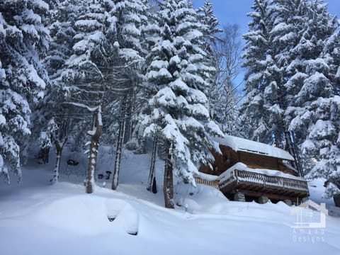 Le Mazot de la Fis Chalet in Chamonix