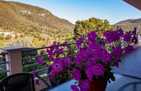 Balcony/Terrace, Mountain view