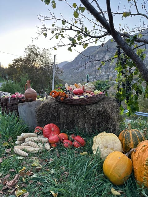 Hotel-GVALA Bed and Breakfast in Georgia