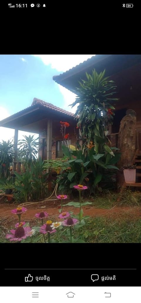 Happy bungalow & trekking Vacation rental in Cambodia