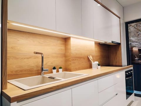 Kitchen or kitchenette, dishwasher, stove