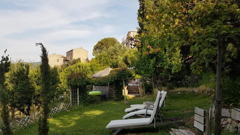 Garden, Garden view, sunbed