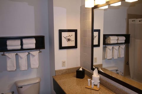 Country Inn & Suites by Radisson, Wilson, NC Hotel in Wilson