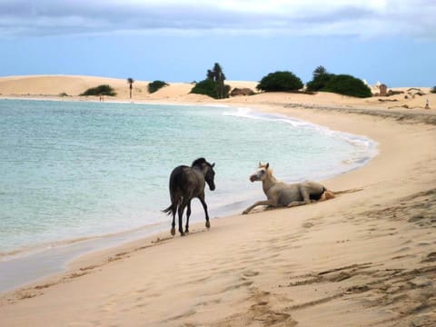 Beach, Sea view