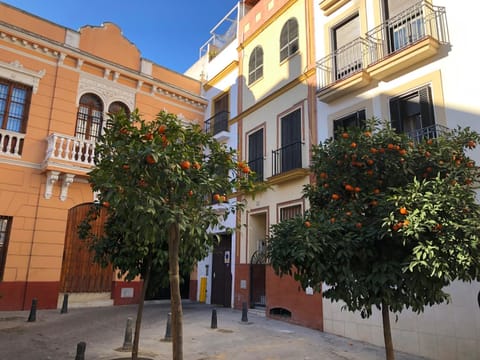 Unique House - Private SPA&Pool -StayInSeville Haus in Seville