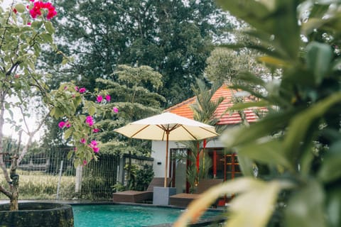 Garden view, Swimming pool