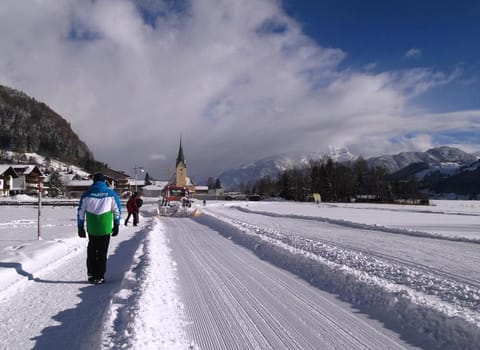 Ferienwohnungen Greiderer Walchsee Apartment hotel in Walchsee