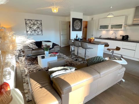 TV and multimedia, Kitchen or kitchenette, Living room, Dining area, minibar, pet friendly, stove