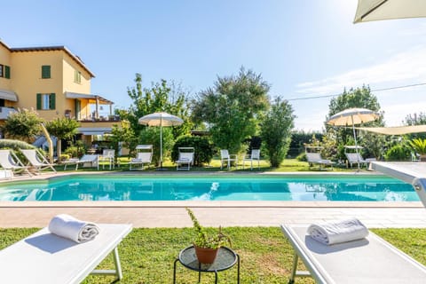 Day, Pool view, sunbed