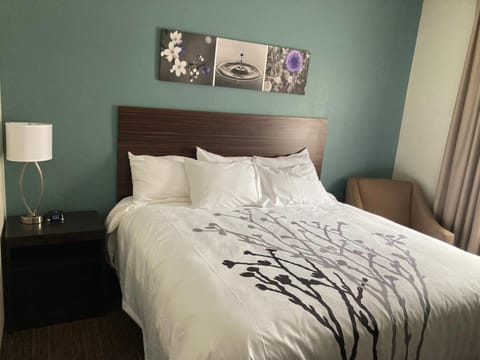 Sleep Inn & Suites Hotel in Pigeon Forge